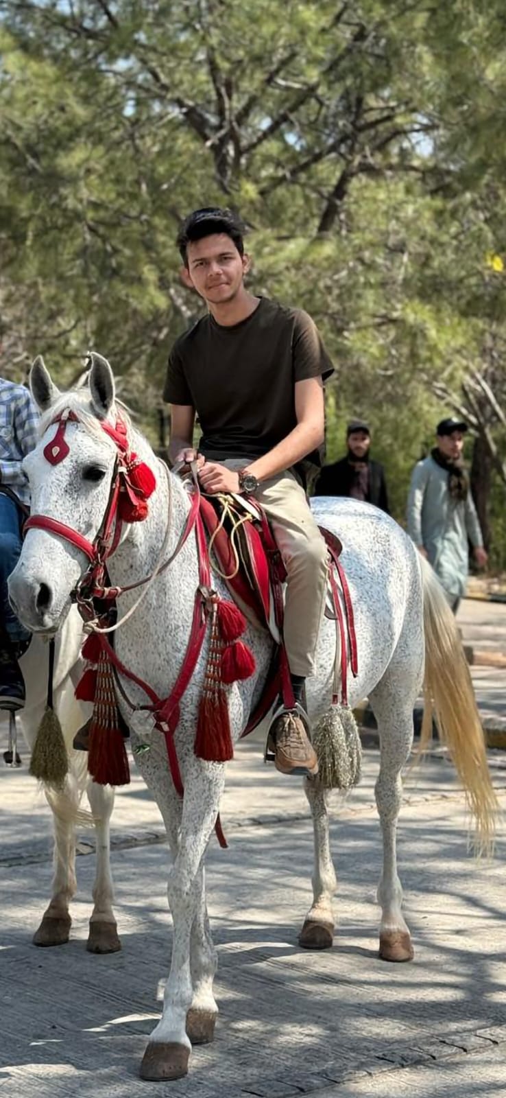 Horse Riding